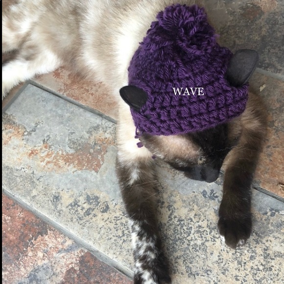🐈‍⬛🐈😻matching beanie for your cat😽😸pom&braids - Picture 10 of 12